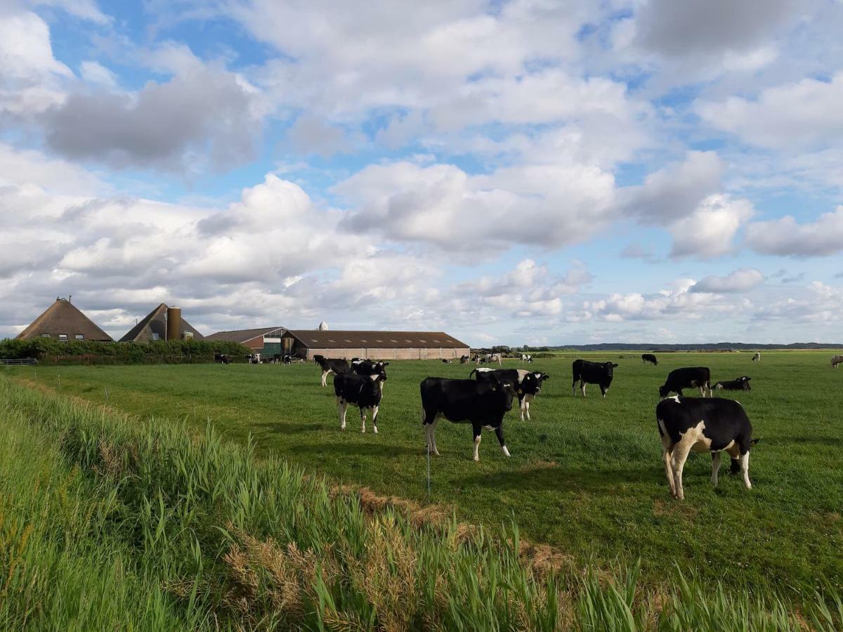 Iefjeshoeve Petten Esterno foto